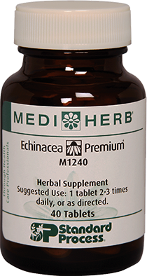Chiropractic Brownsburg IN Supplements M1240 Echinacea Premium Chiropractic Brownsburg IN Supplements M1240 Echinacea Premium